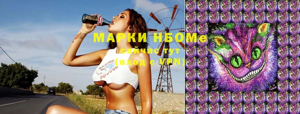 стафф Осинники