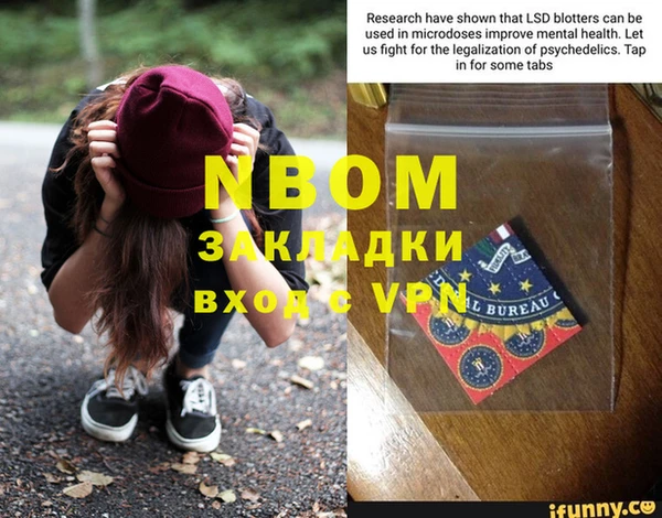 стафф Осинники