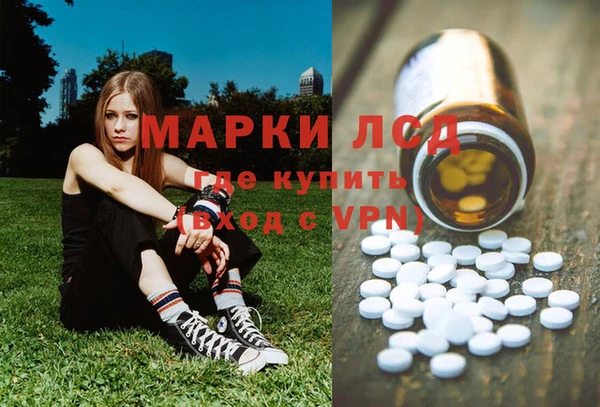 стафф Осинники